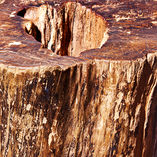 02-fifty-objects-slide-08RR-square320